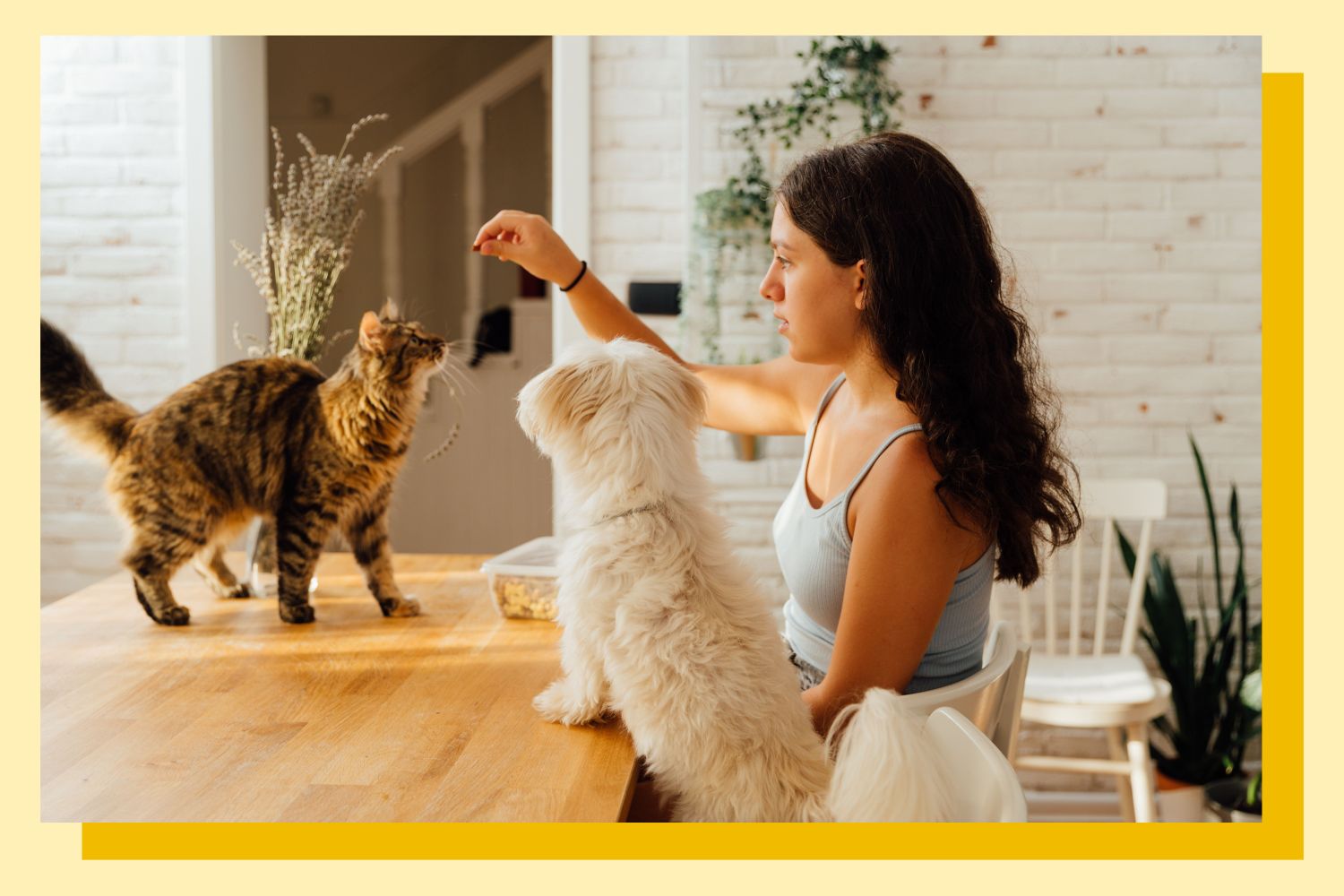 What Is the Cat vs. Dog Parenting Style?